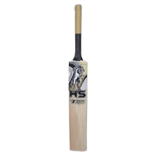 HS ZALMI PLAYER